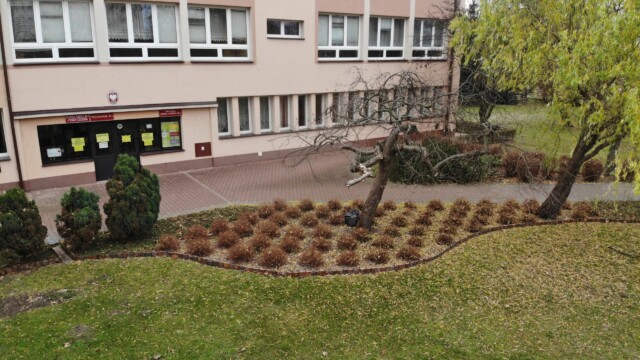 created by dji camera