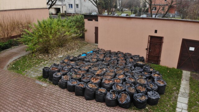 created by dji camera